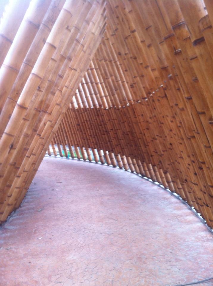 GoolTny's tweet photo. Parque @kumari en Pereira excelente instrumento educativo ambiental http://t.co/jDkCWzW5kf
