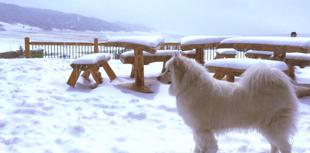 projectenye's tweet image. Springtime in Colorado as we brainstorm for the project #EnyesCount #CreativeInAction #collaboration #success