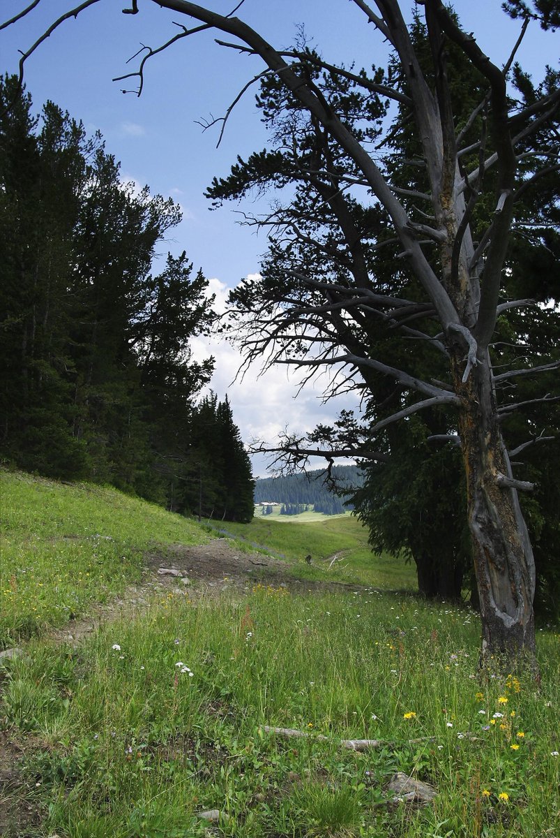 BrooksLakeLodge's tweet photo. Hike the continental divide with experienced guides at Brooks Lake Lodge and Spa in Wyoming. http://t.co/jedM8w1uKW http://t.co/H8WkV9bokp