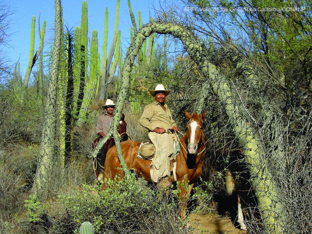 Fauna valle todas las noticias de última hora, fotos y vídeos en tiempo real Fauna valle todas las noticias de última hora, fotos y vídeos en tiempo real