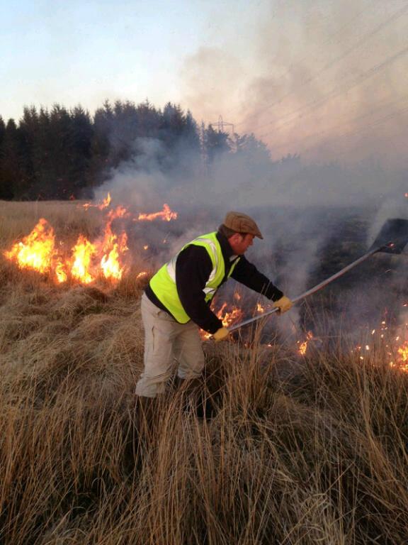 Glanusk Estate, Brecon Beacons tweet media