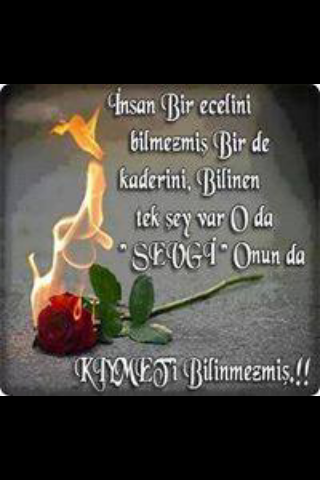 hayat bazen iki kelimede olsa seni seviyorun