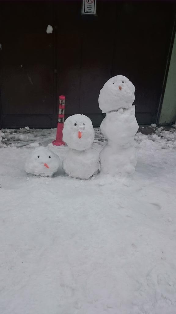 #dada başlasın artık donduk bee