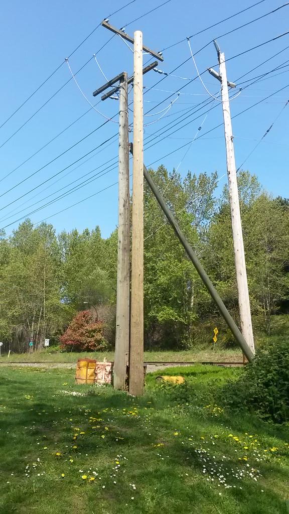 AdrianCarlini's tweet photo. .@parkboard, feel like my little park gets neglected. http://t.co/OWkQsV0gAL