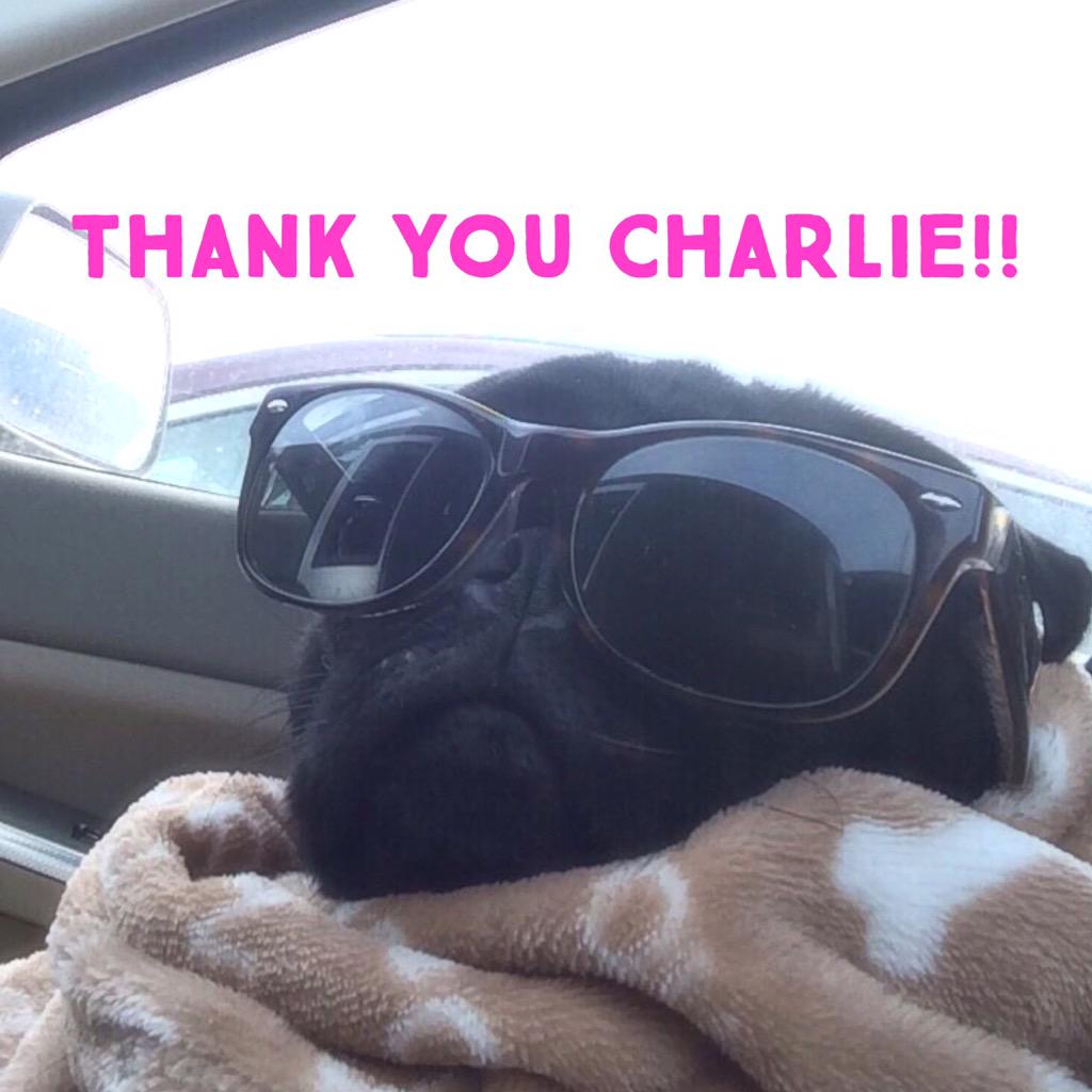 Charlie from #SomervilleMA donated to Alice the Pug's Marathon fund! Donate here if you can ! bit.ly/PoiGsupportsAl…