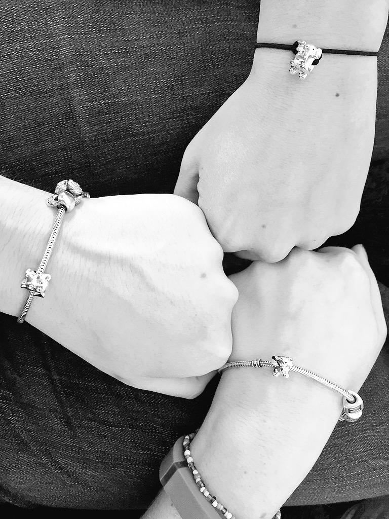 KaiNieves's tweet photo. All three sisters got elephant #pandora charms today. #family #forever #heffalumps #sticktogether http://t.co/Ipc34gozmA
