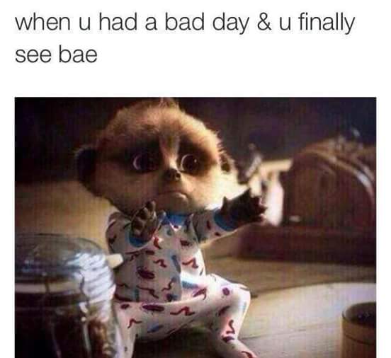 yuegene____fay's tweet image. 