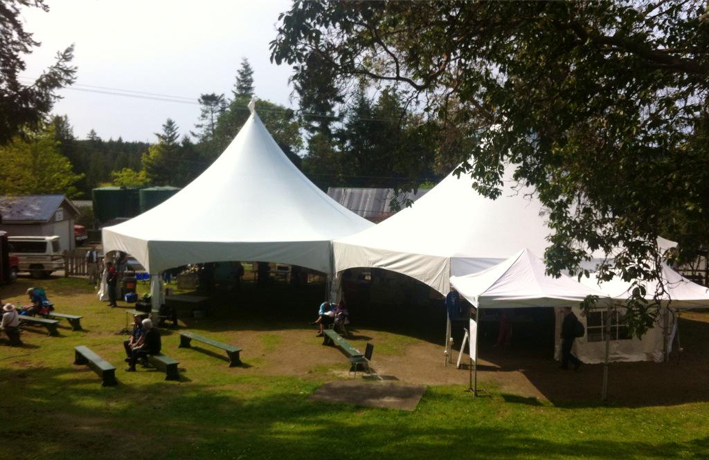 FestActivePass tweet picture