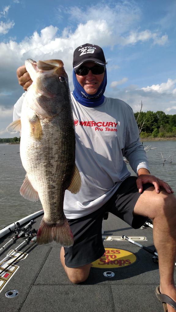 Matt Reed tweet media