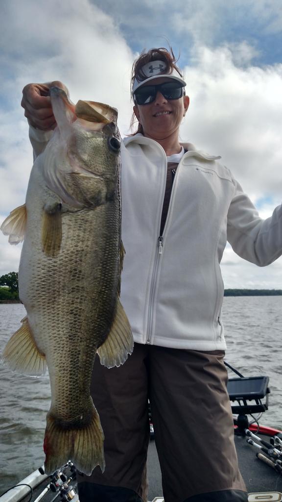 Matt Reed tweet media