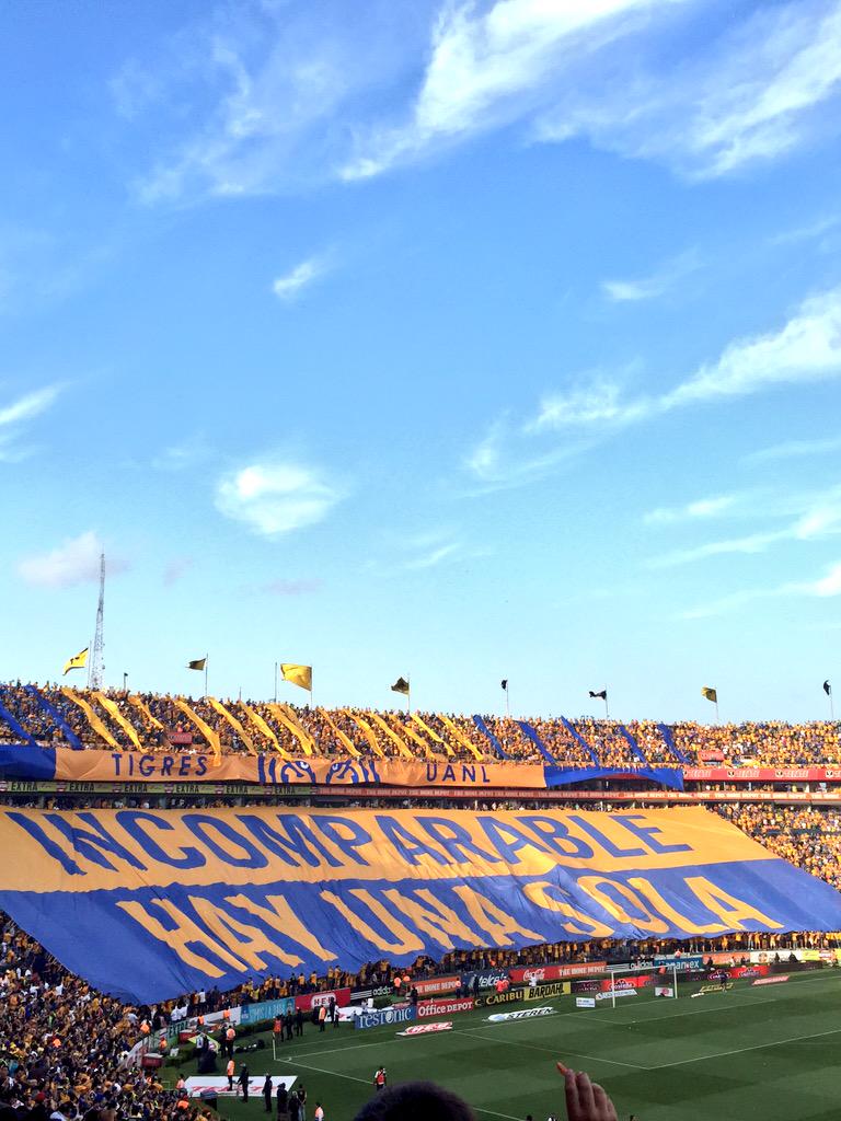 brend81's tweet photo. Incoparables #campeones #tigres #clasico104 #3-0 🎉🐯🎉🐯🎉🐯 http://t.co/Ez13JKAxhb