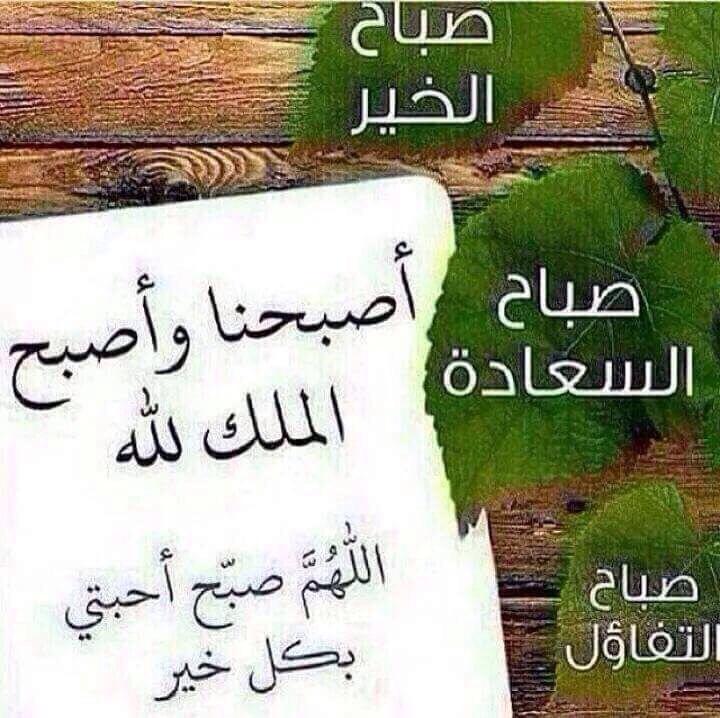 mnhal722's tweet photo. #صباح_الخير 
#المدينة_المنورة 
#عاصفة_الحزم http://t.co/gEglhJT3Dd