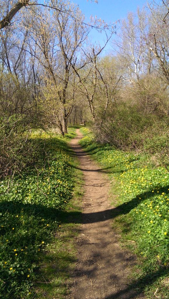 UDelFitBit's tweet photo. Lovely day to hike through White Clay! http://t.co/0ZfVlZHxqj