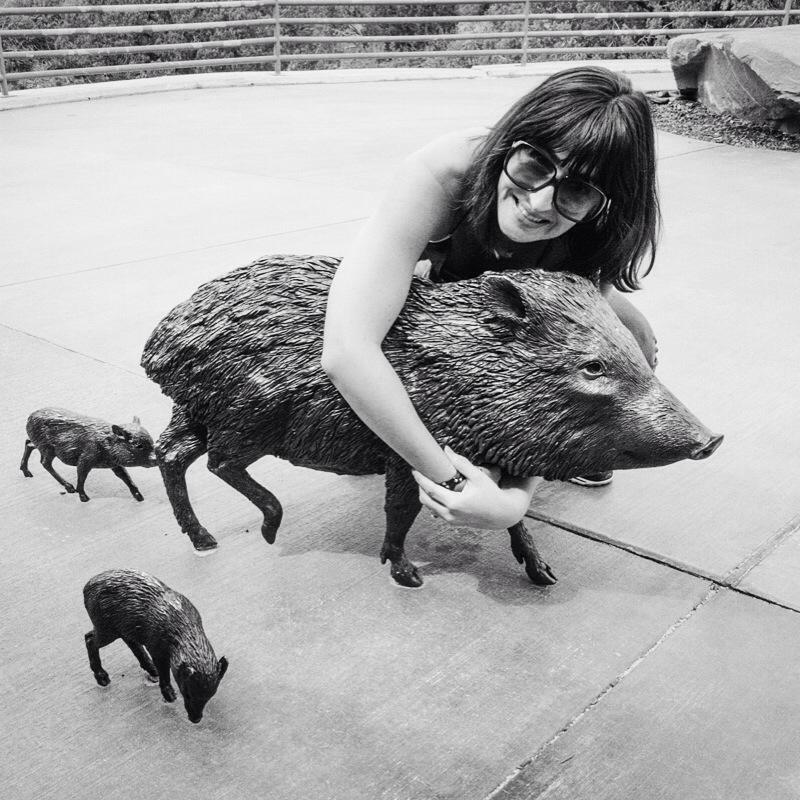 AmberEHarris's tweet photo. Hunting Javelina http://t.co/OH73rhi1w9