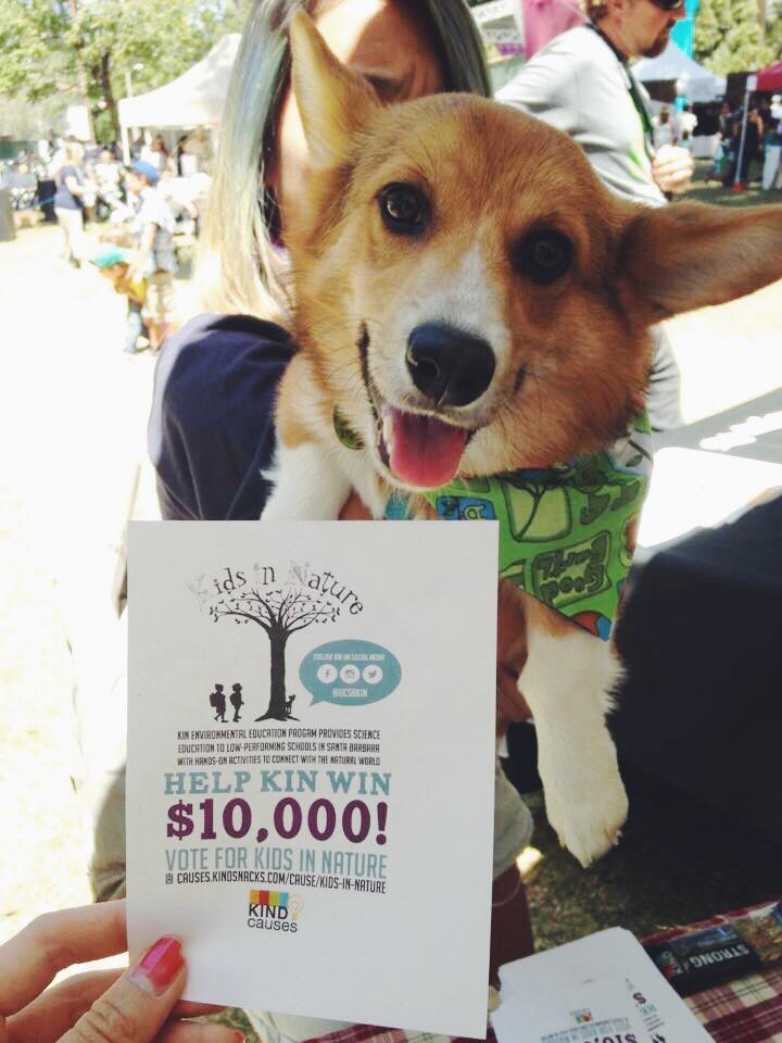 UCSBKIN's tweet photo. Cooper the Corgi says, "Please Vote for KIN!" #SBEarthDay #EarthDay2015 @SBEarthDay http://t.co/Tj9DUehlsR