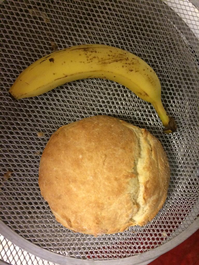 UnconventionO's tweet photo. Made some biscuits. #banana for scale #Austin #reddit http://t.co/6vyez8BBfC