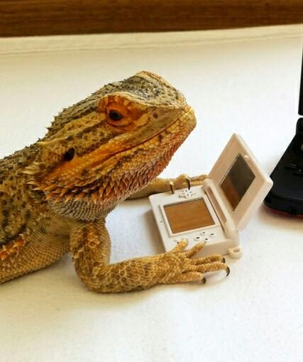 Eustace_314's tweet photo. #ageappropriatefun http://t.co/K8Hgz9IBCP