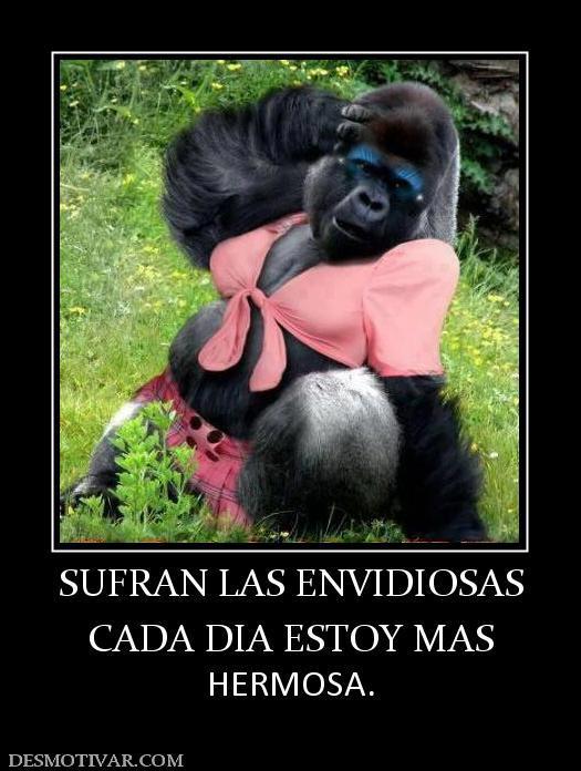 hechizera023's tweet photo. A poco no me veo bien mona jajjaja la verdad yo siento q stoy de pelos jajjajajj http://t.co/rS4xJhTYm0