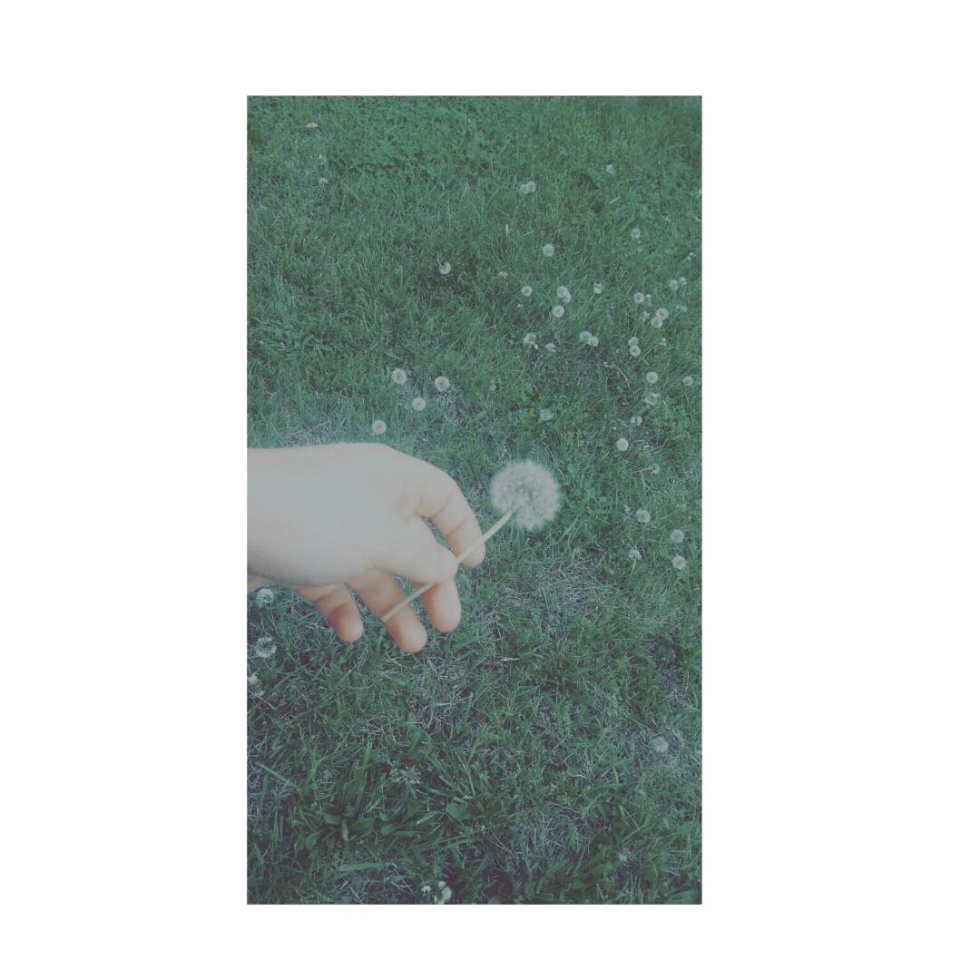 Http_Ac's tweet image. 🌸✨