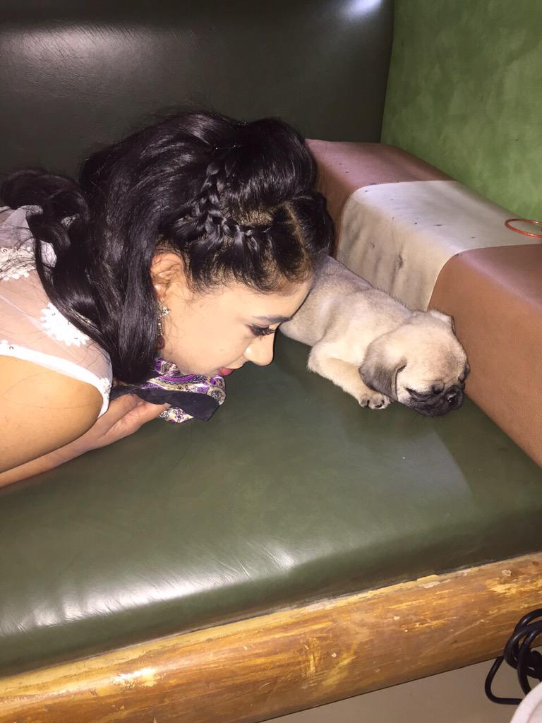 Embedded image permalink