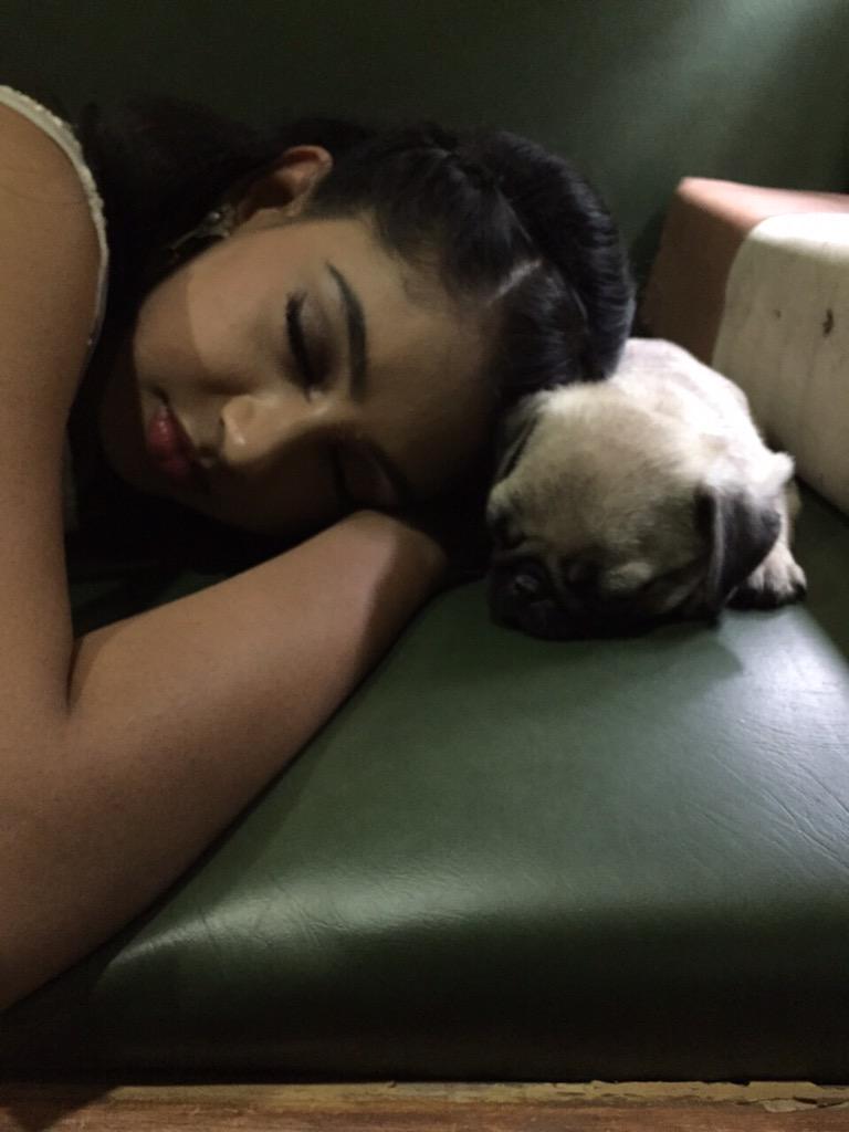 Embedded image permalink