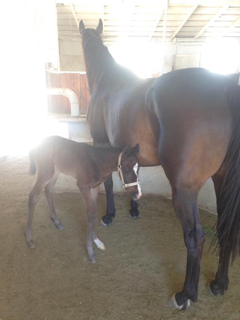 ClayWMatt's tweet photo. 1 day old http://t.co/oLPqigrJj0