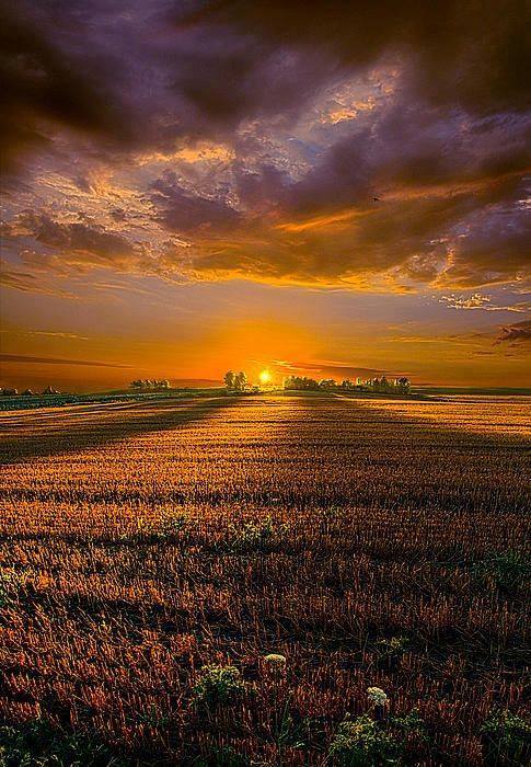 SuzanneLepage1's tweet image. GNight and sweet dreams to you..Dreamland is calling me..See you!!