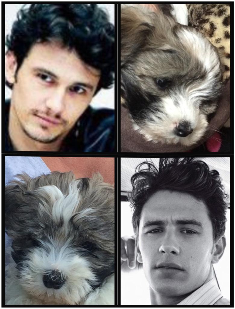  happy birthday to us April 19 = great day! My bday gift was Jamesy, aka James Franco 