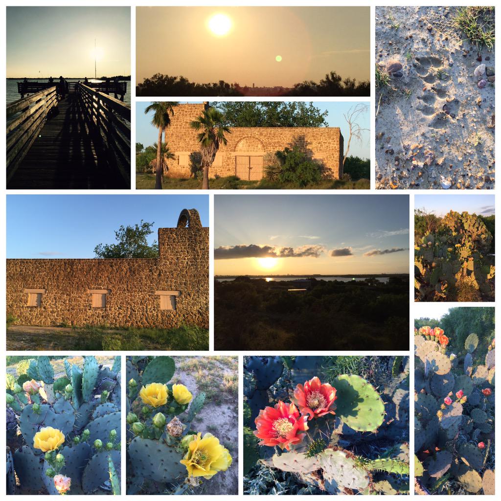 SDBvocation's tweet image. Love God&apos;s Beautiful Creation