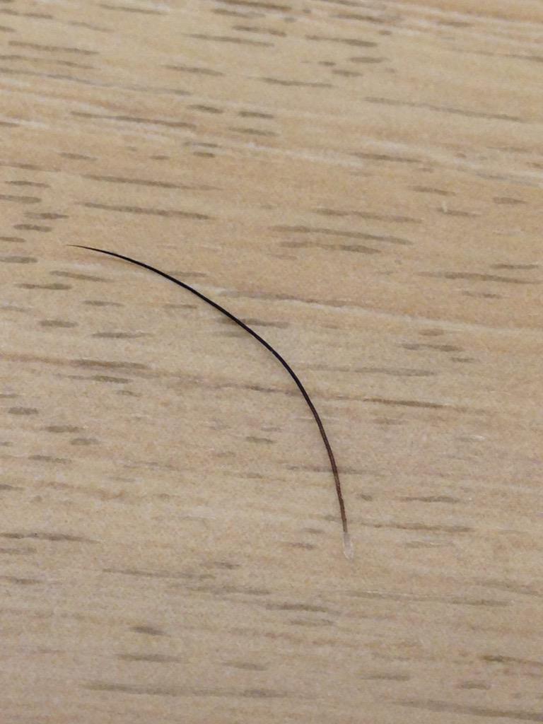 Uzivatel かくずん Na Twitteru 最高記録に長い鼻毛が取れた Http T Co Quawdhk3ss