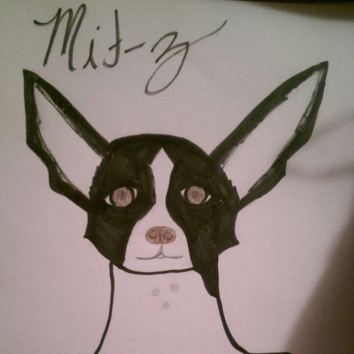 scvargo's tweet photo. Shout out to @24_francesca for this AMAZING drawing of my dog Mit-Z! http://t.co/HQe9TqcfmE