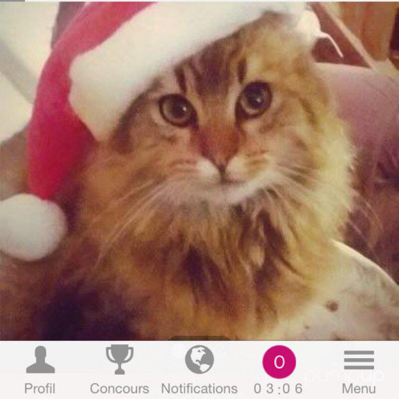 boucaumont's tweet photo. "Voter" -> "Se connecter à Facebook"  -> "Ok" -> "1vote gratuit" 3x ... 
https://t.co/7Nu7VTiWKf @PumpUp #TeamPumpUp http://t.co/4QDqpfFMHw