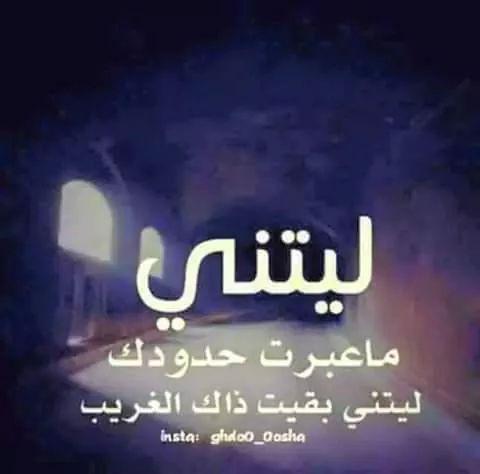 محمد الموسوي (@07ec9d0d3da248e) on Twitter photo 