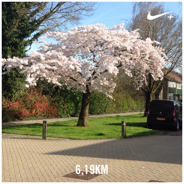 VrouwMetStijl's tweet photo. Mooie plaatjes 🌳🌸  I just ran 6,19 km @ a 6'02"/km pace with Nike+. http://t.co/B3q3j0UM2n #nikeplus http://t.co/l6WLoPnwYX