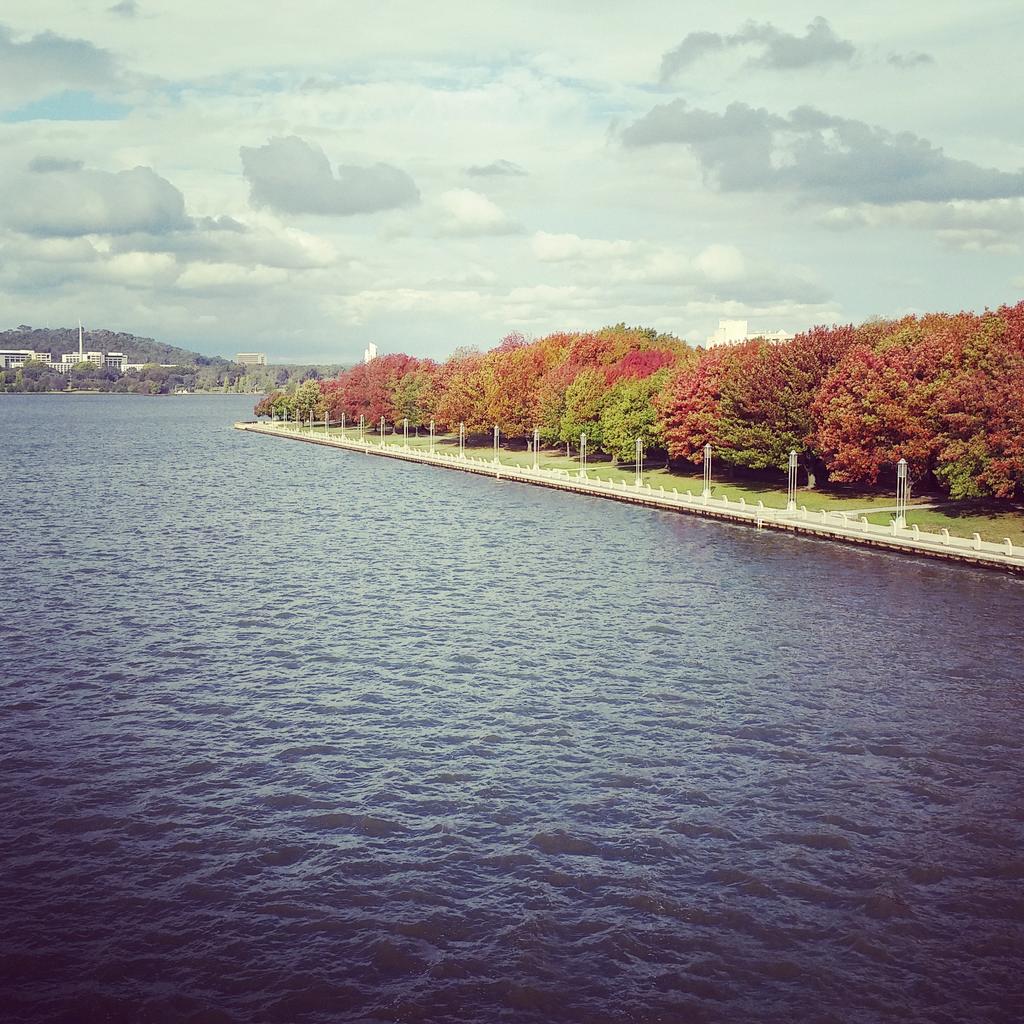 stevensconv's tweet image. Canberra in all its autumn glory! ☺