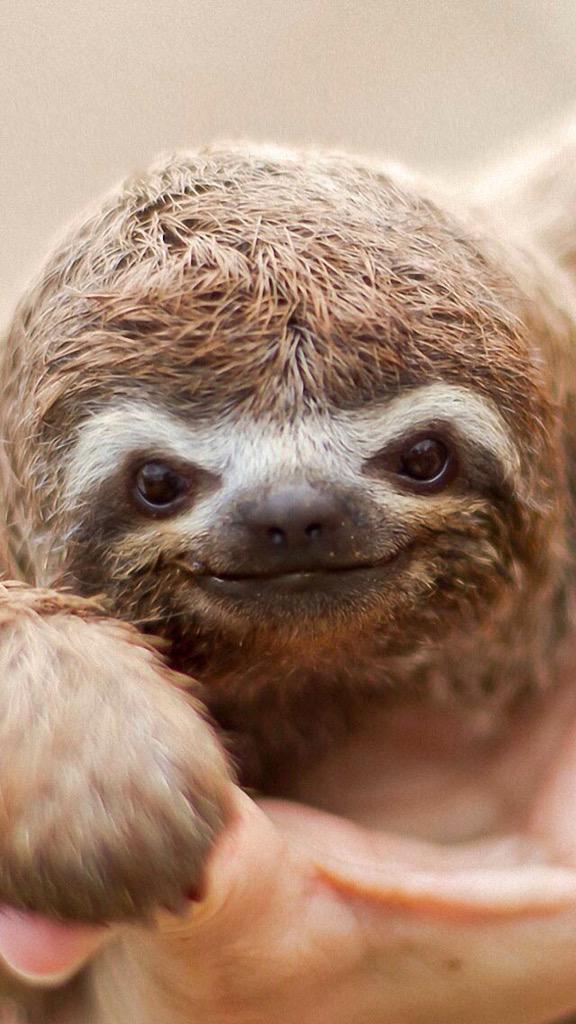 BushbaumReed's tweet image. Lookin at my friend like