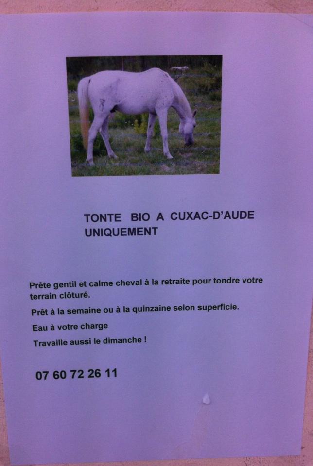 D_lez's tweet photo. TOnte Bio!! SeRieuX je Vais le RéServer! OBliGé! #Insolite #AfficheSpar http://t.co/2koC5ZFdk0