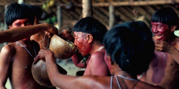 Isolated Amazon group hosts most-diverse constellation of microbes ever discovered in humans ow.ly/LLpJm