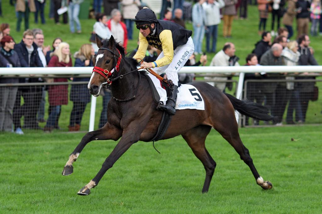 German Racing Review tweet media