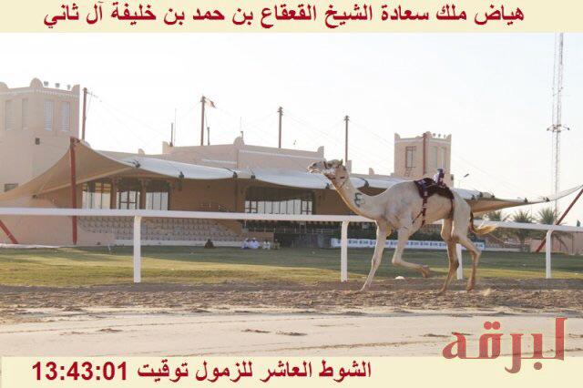 876_fox's tweet photo. 876_@fox http://t.co/UxUUn86jOF