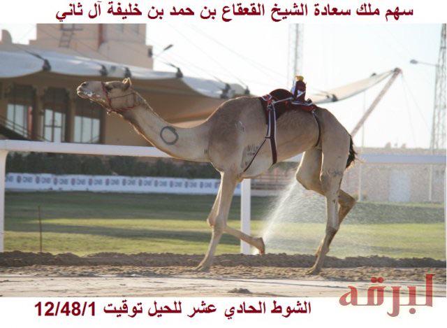 876_fox's tweet photo. 876_@fox http://t.co/9TA6w2RcCH
