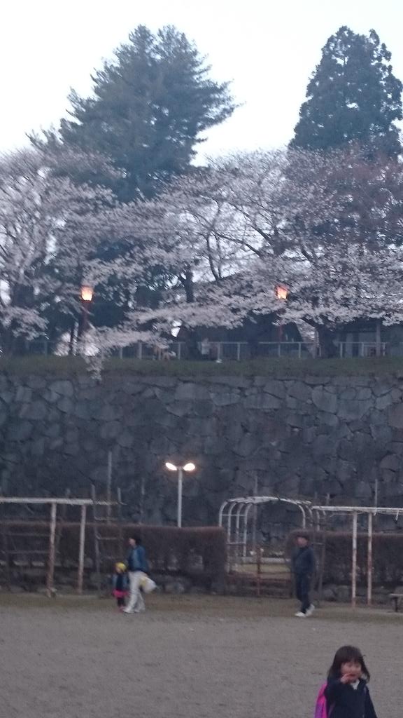 112576Hanako's tweet photo. なう🌸 http://t.co/ghLfttOYFr