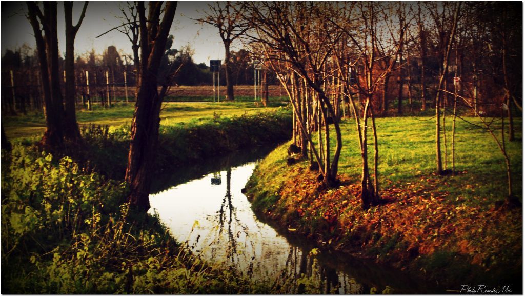 ProValvasone's tweet photo. Domenica di sole a #Valvasone per una giornata all'insegna dell'#ecologia!! Miglioriamo il nostro stupendo #borgo! http://t.co/FR9rMcbEYG