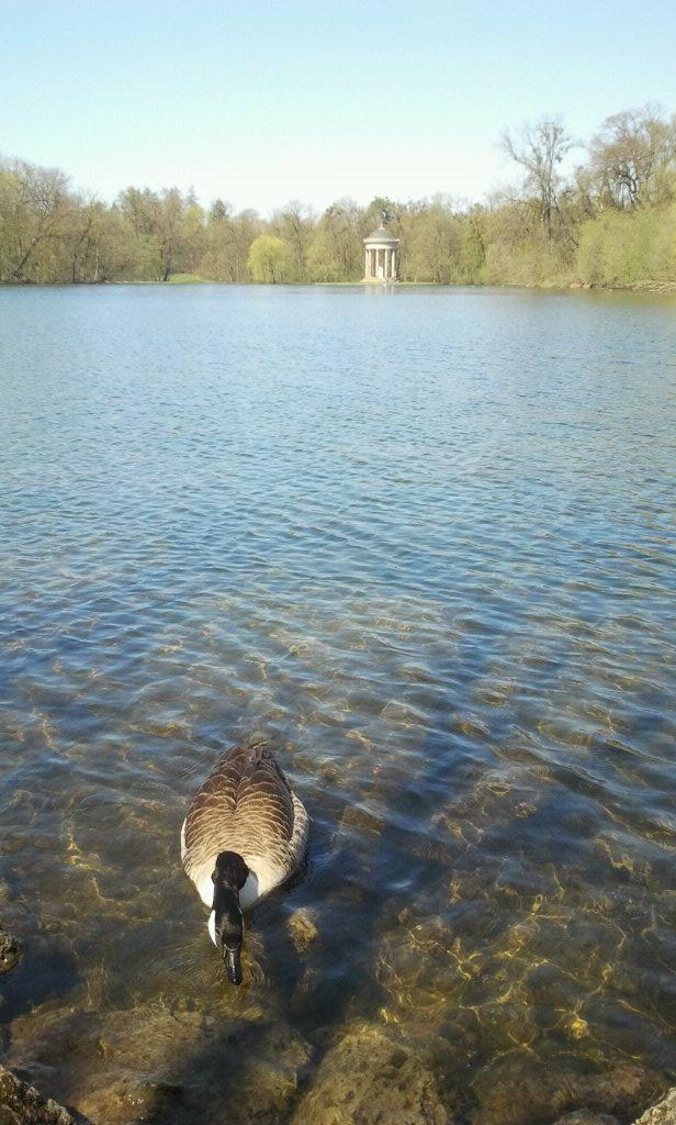 the_real_antje's tweet photo. Mein Highlight. Kein Ende vom Wasser in Sicht. #allesAbsicht #lustwandeln http://t.co/ydntmm7C5I