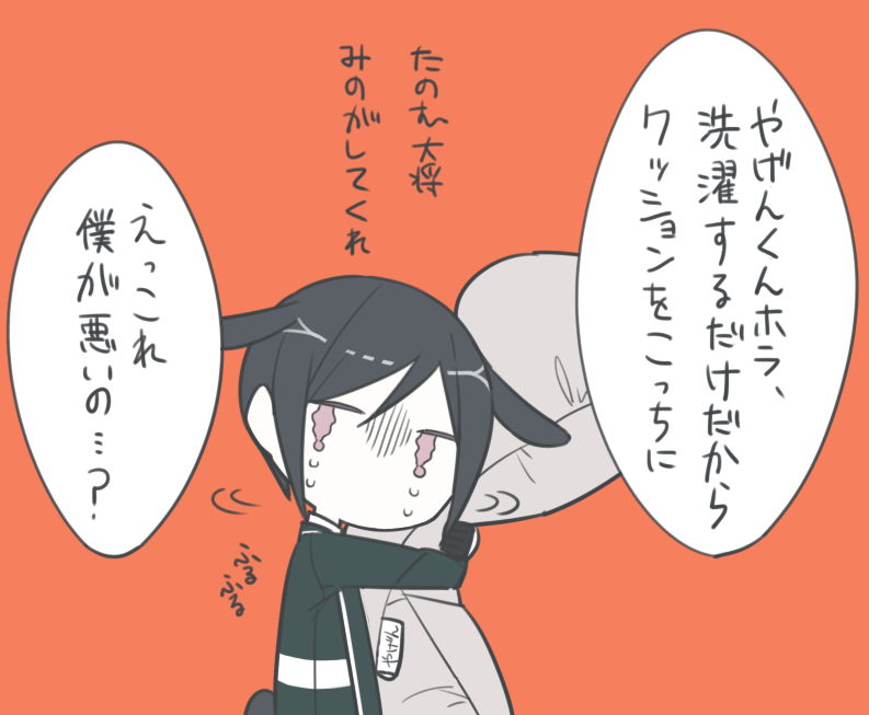 クッションのこと相棒って呼んでる 