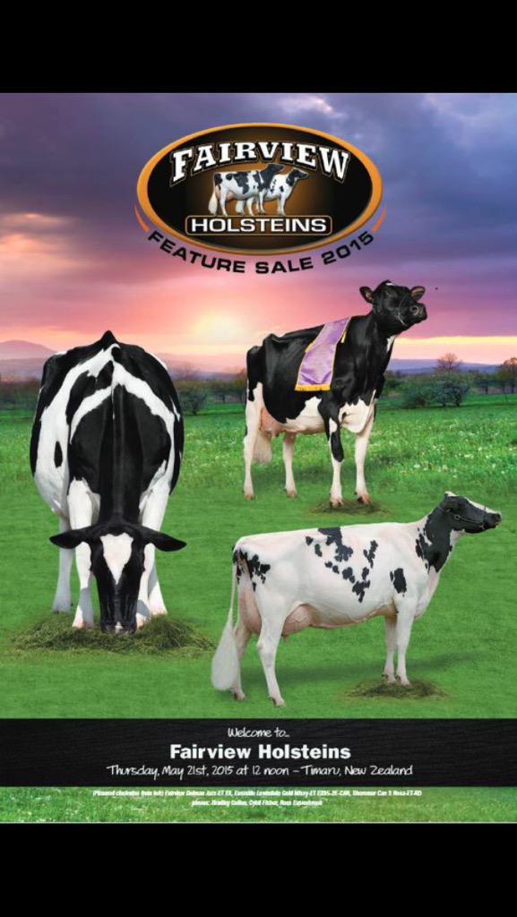 FairviewFeature's tweet image. Available online now, the Fairview Feature Sale catalogue, visit nzholstein.org.nz