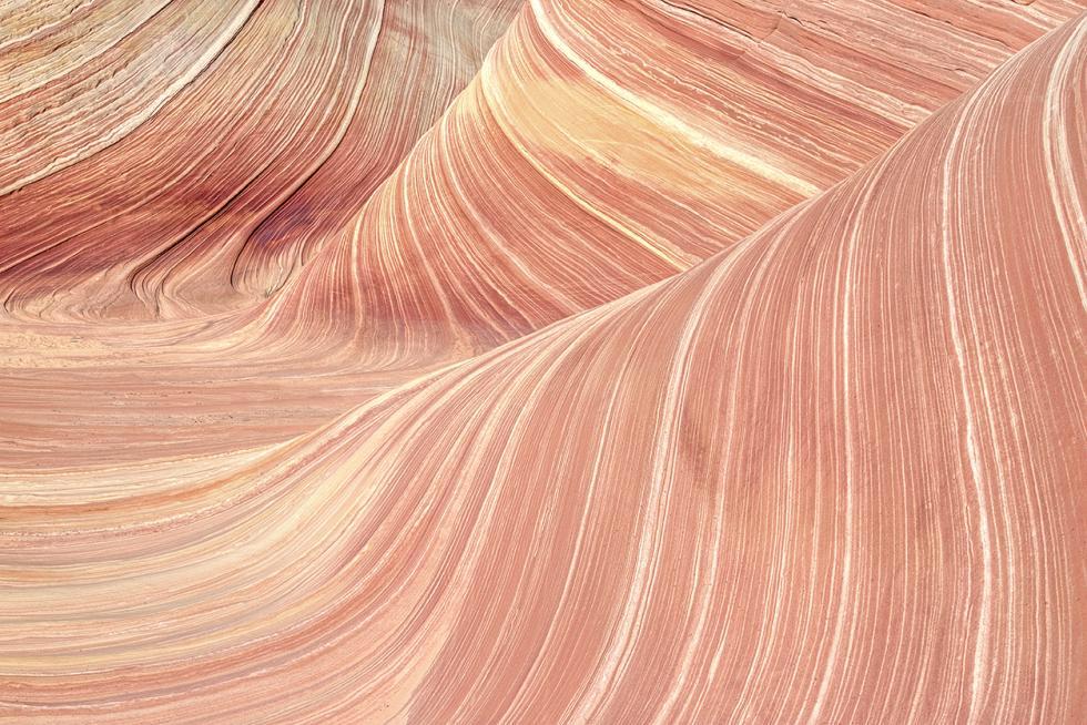 DStrattonPhoto's tweet image. Waves of Sandstone

I don't know what's worse:
Drowning beneath the waves
Or dying from the thirst.