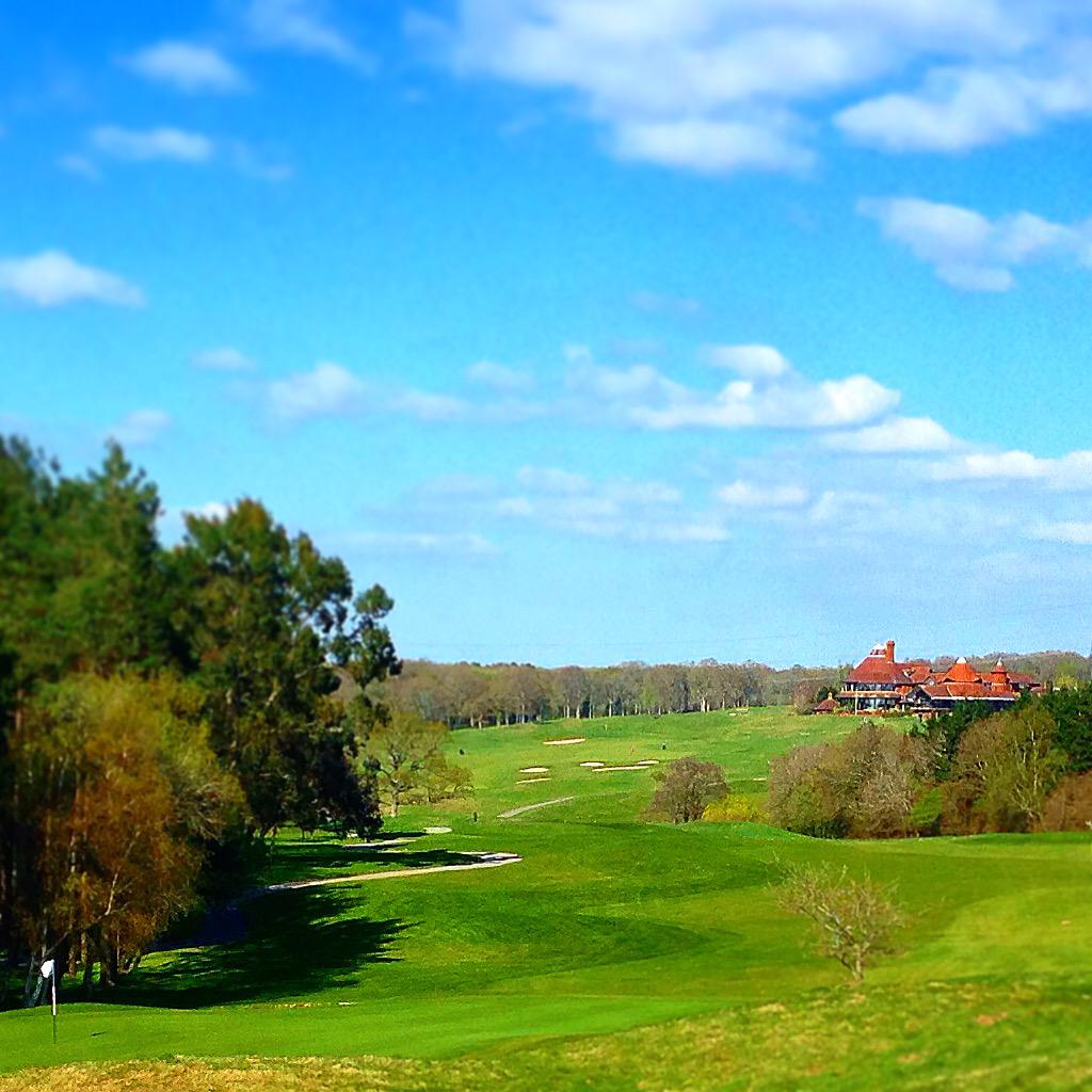 DogCraig's tweet image. East Sussex national