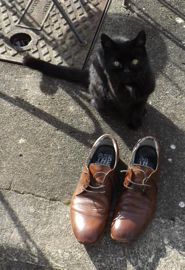 MYSADCAT tweet picture