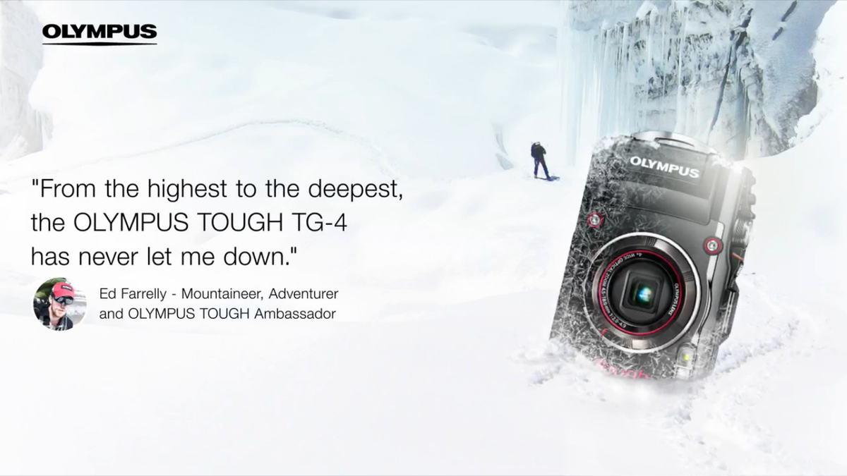 Ed Farrelly tweet media